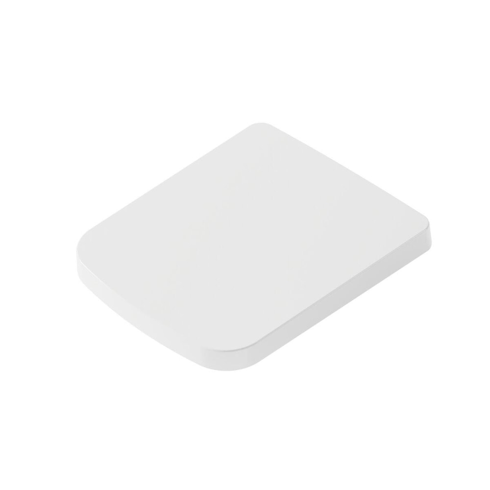 WC-Sitz derby plus semi abnehmbar