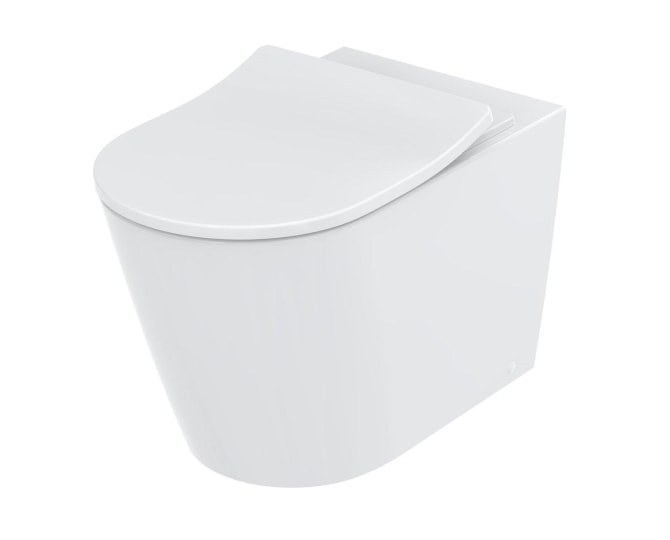 TOTO RP WC-Sitz abnehmbar mit