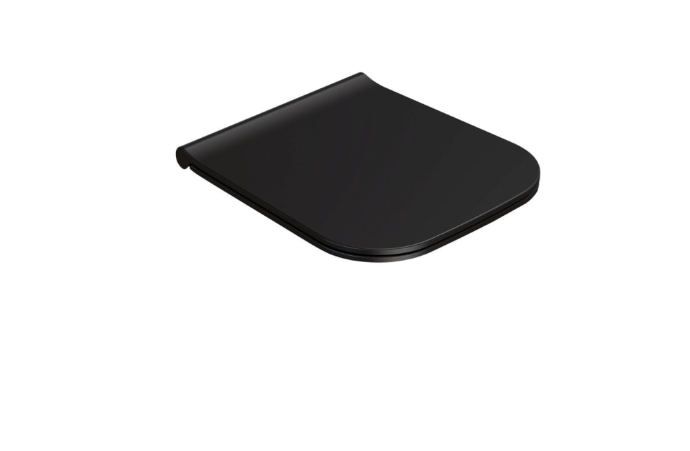 WC-Sitz STONE abnehmbar BdC