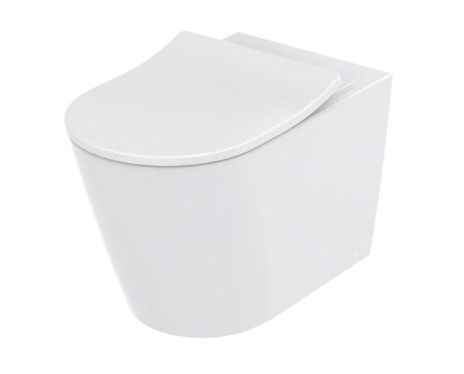 TOTO RP WC-Sitz abnehmbar mit